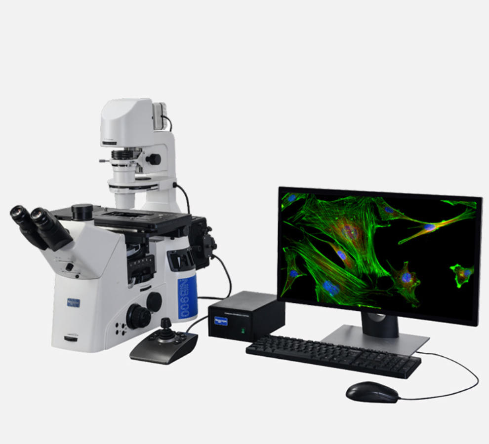 长沙实了个验仪器制造有限公司荧光显微镜优势解析