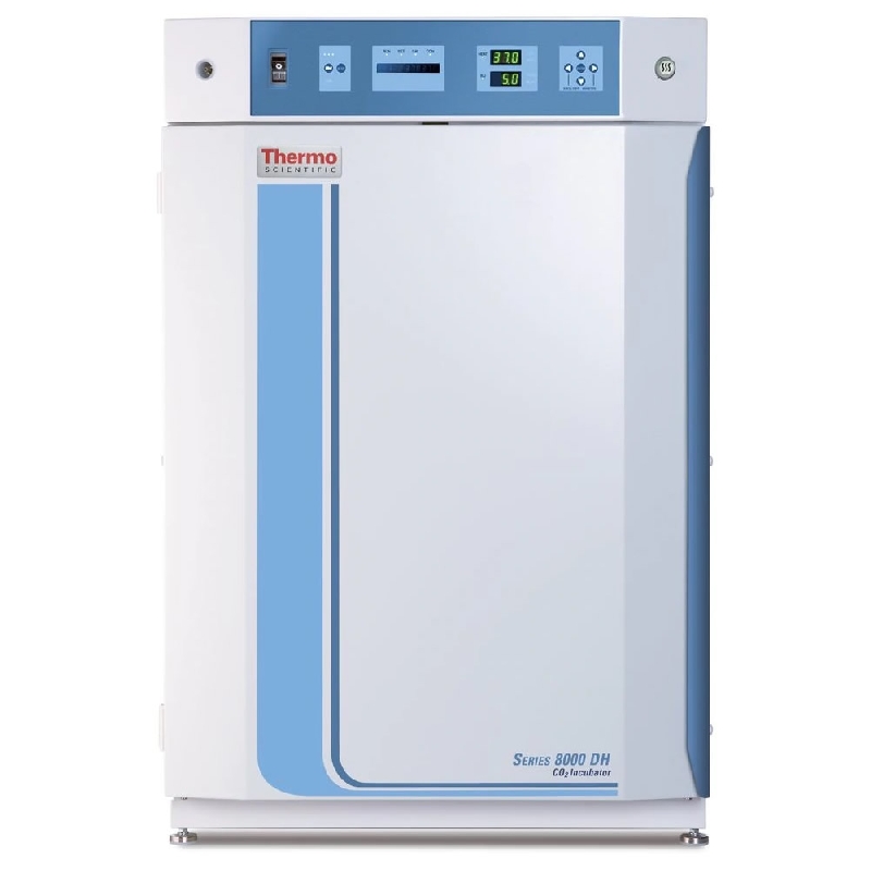 赛默飞培养箱BB150实验应用